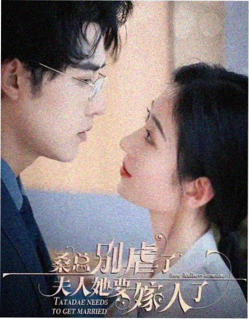 雾港迷踪 悬疑电视剧在线观看封面